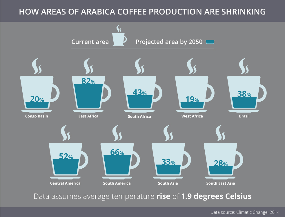 How areas of arabica coffee production are shrinking