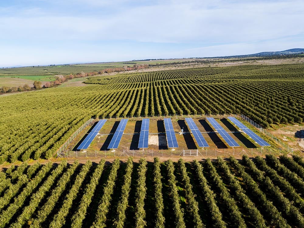 Solar-powered irrigation system