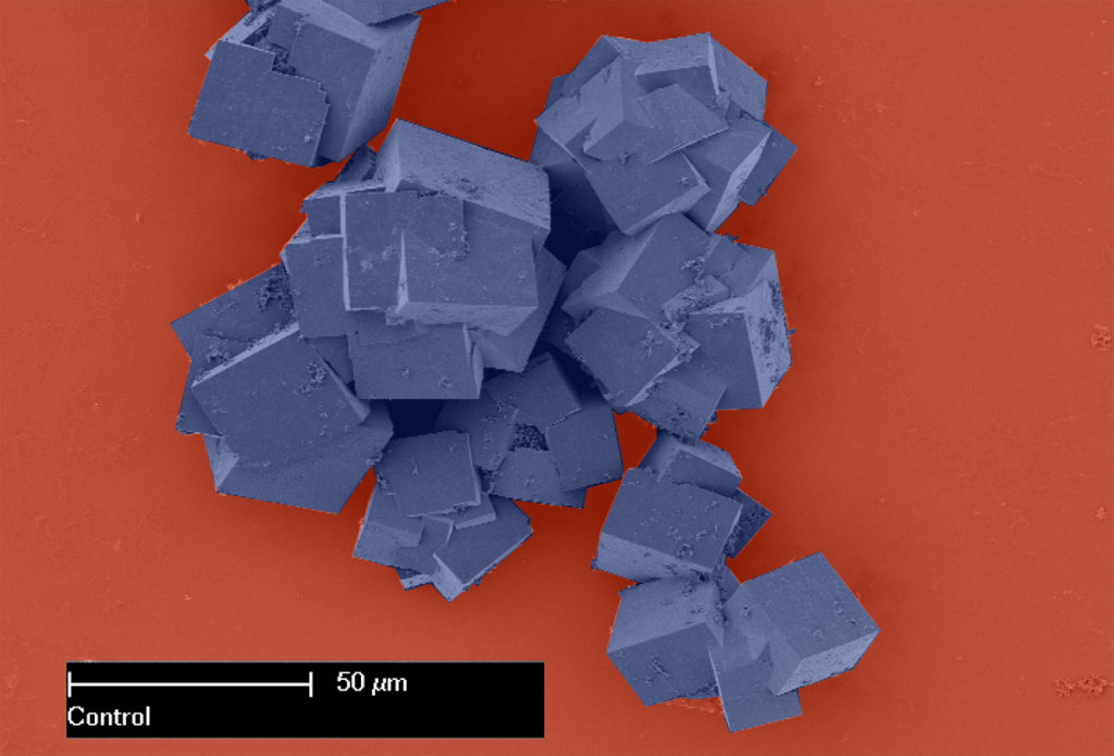 Metal-organic frameworks as seen under an electron microscope are made up of crystals that together shape multi-dimensional structures with vast surface areas. Image credit - CSIRO/ Dr Paolo Falcaro, Dr Dario Buso, licensed under CC BY 3.0 (color changed)