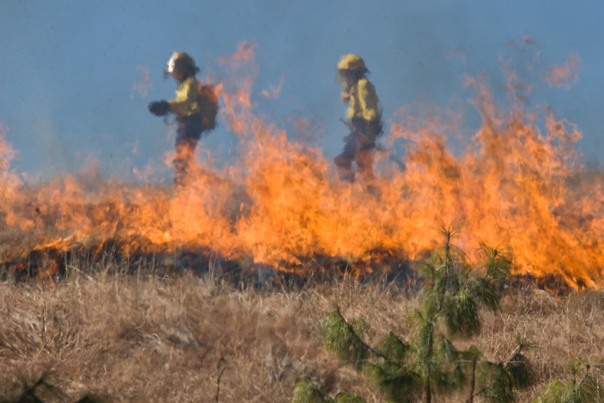 With the EUPHEME project, Prof. Stott is linking extreme heatwaves and resulting wildfires to climate change.