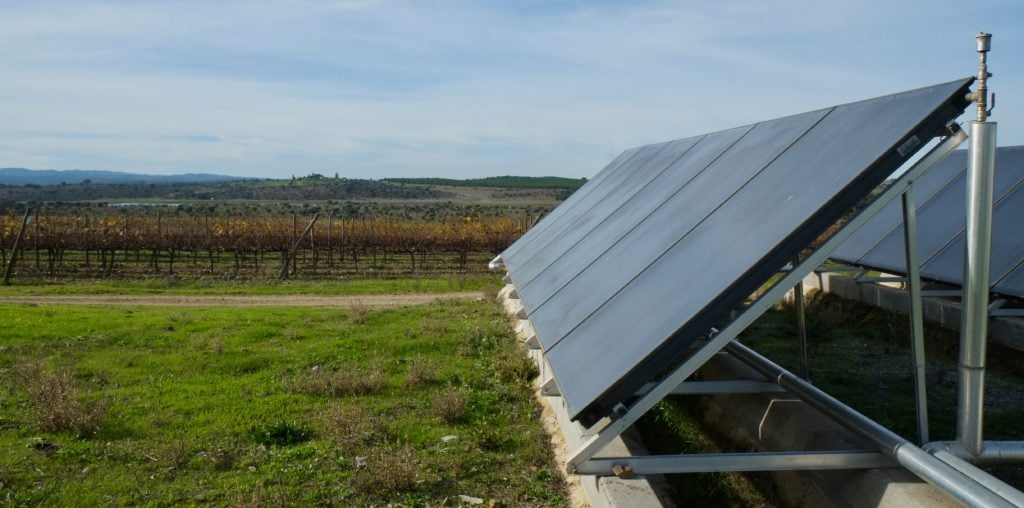 Viticulture is a good starting point for community-based energy initiatives, according to researchers, as it is both energy-intensive and vulnerable to climate effects.