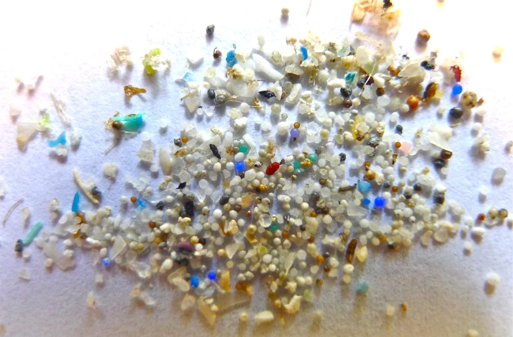 There is 'large uncertainty' surrounding the risk from microplastics, pieces of plastic less than 5mm wide, says Prof. Bart Koelmans.