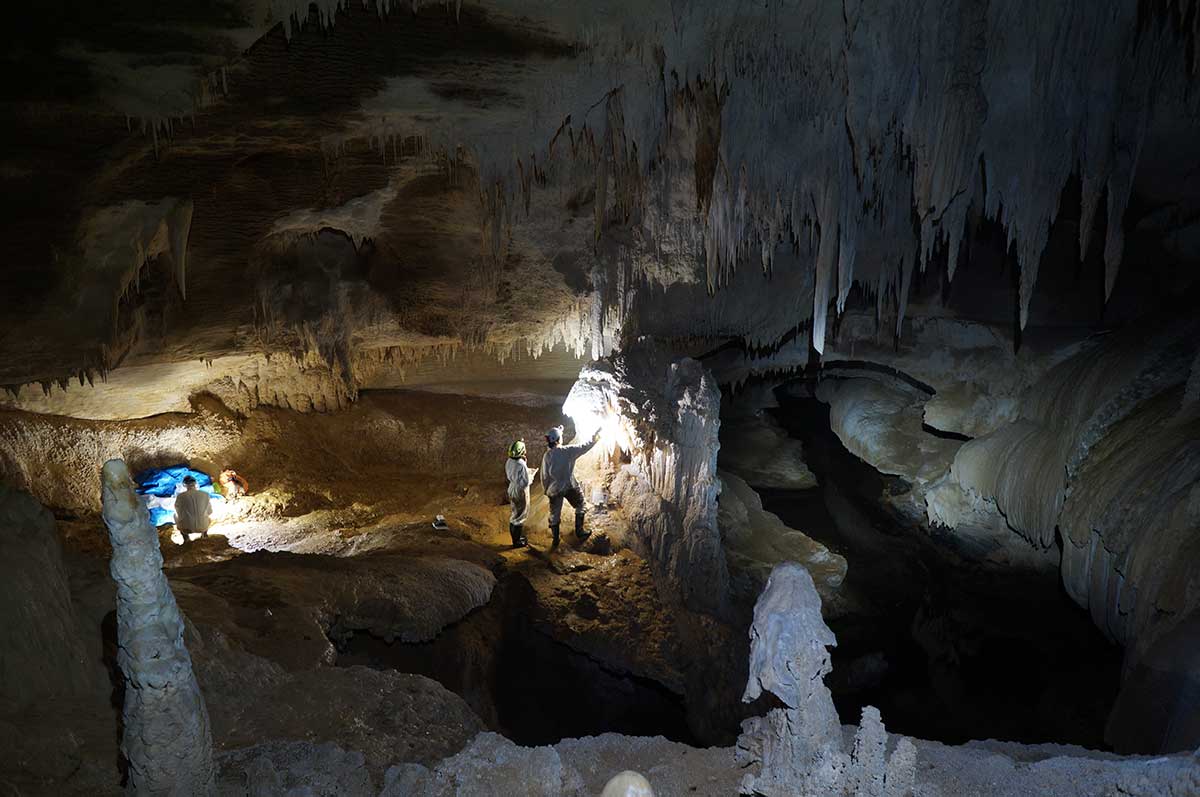 Speleothems, such as stalactites and stalagmites, may hold the secrets of why ancient civilisations collapsed. Image credit - Sebastian Breitenbach