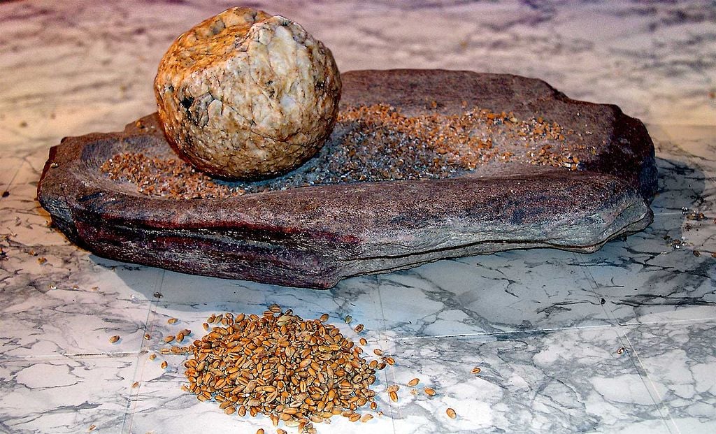 Ground stones were a 'major evolutionary success' as they allowed people to unlock the energy in plants by making flour. Image credit - José-Manuel Benito Álvarez/Wikimedia commons, licenced under CC BY-SA 2.5