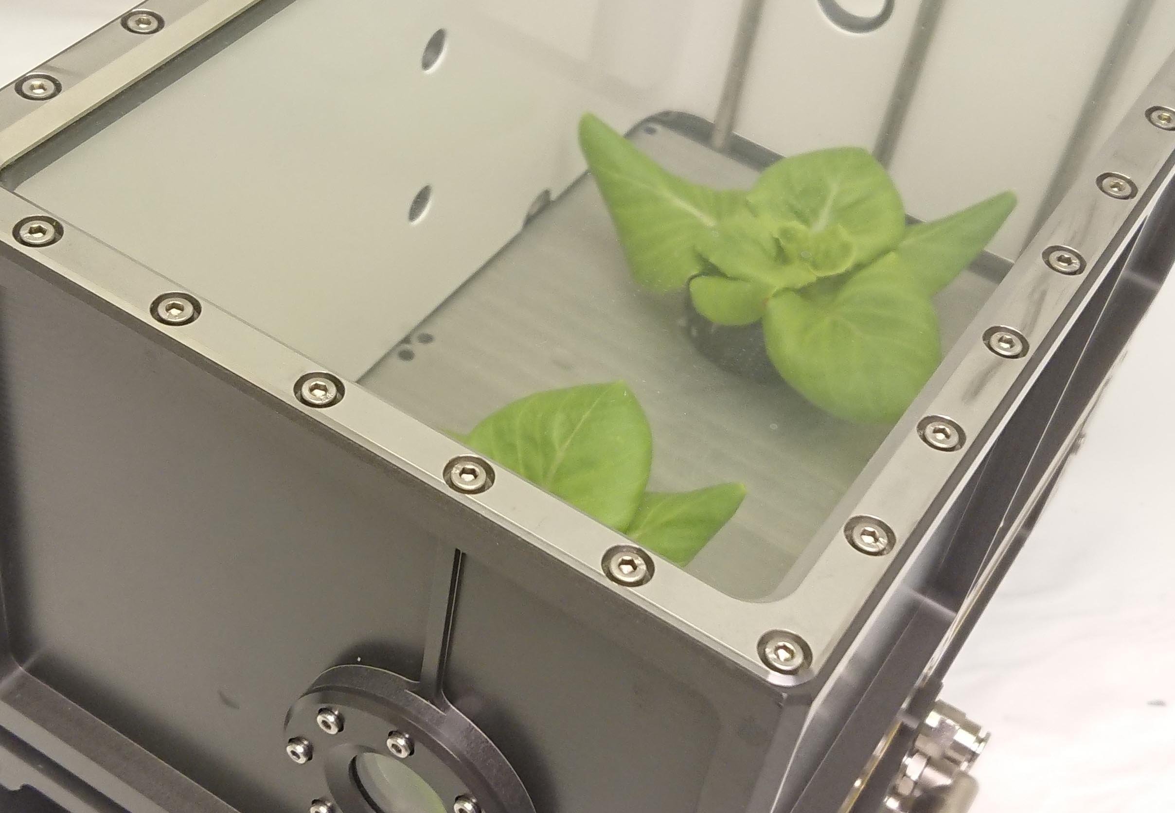 The prototype space greenhouse developed by the TIME SCALE project showed that it is possible to recycle nutrients and water to grow food. Image credit - Karoliussen