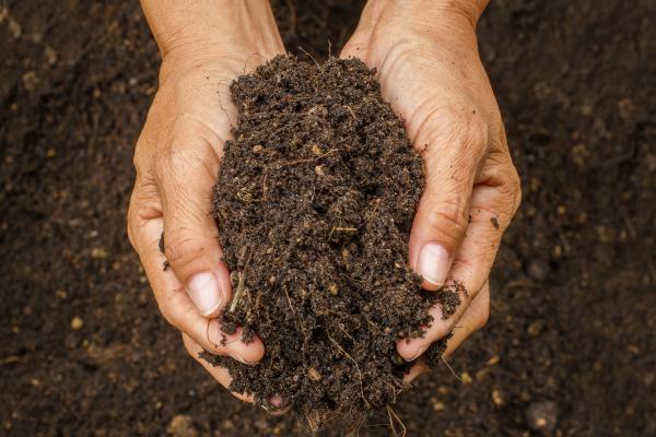 Healthy soil is crucial for life