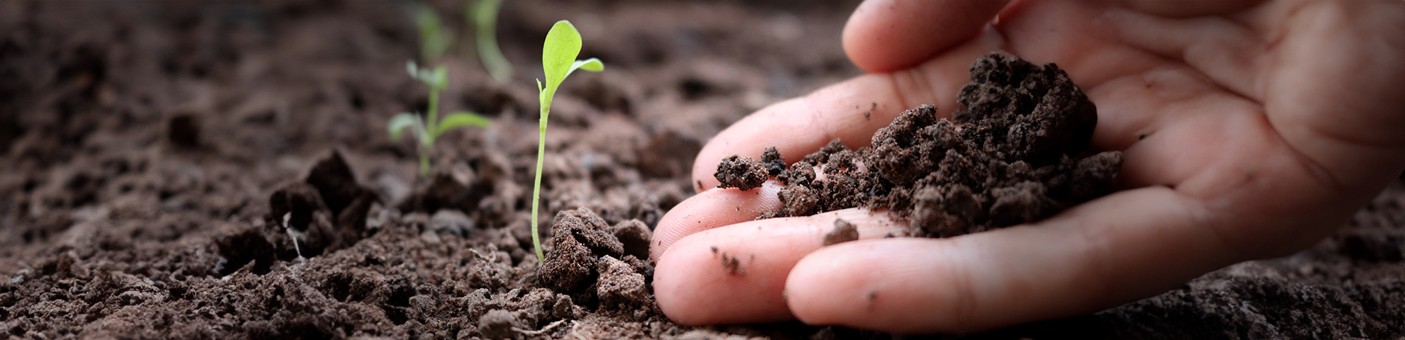 Efforts to recycle food production waste into natural fertilisers are a win-win for farmers and the environment. © LamoonfilmPhoto, Shutterstock.com